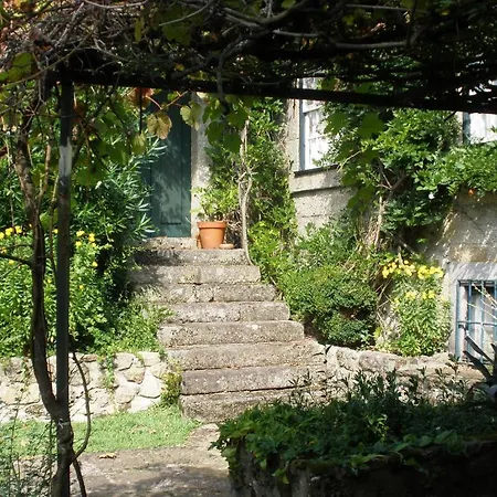 Silvalde Garden Low Cost Santo Tirso