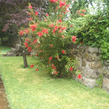 Silvalde Garden Low Cost Lägenhet Santo Tirso