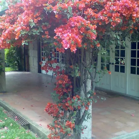 Silvalde Garden Low Cost *