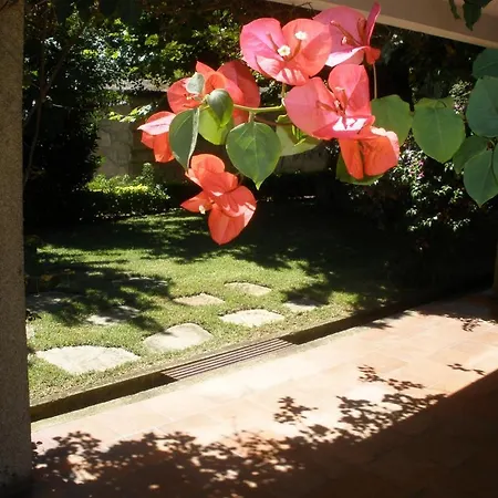 Silvalde Garden Low Cost Appartamento Santo Tirso