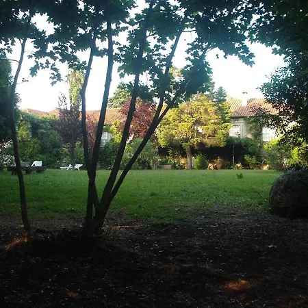 Silvalde Garden Low Cost Appartamento